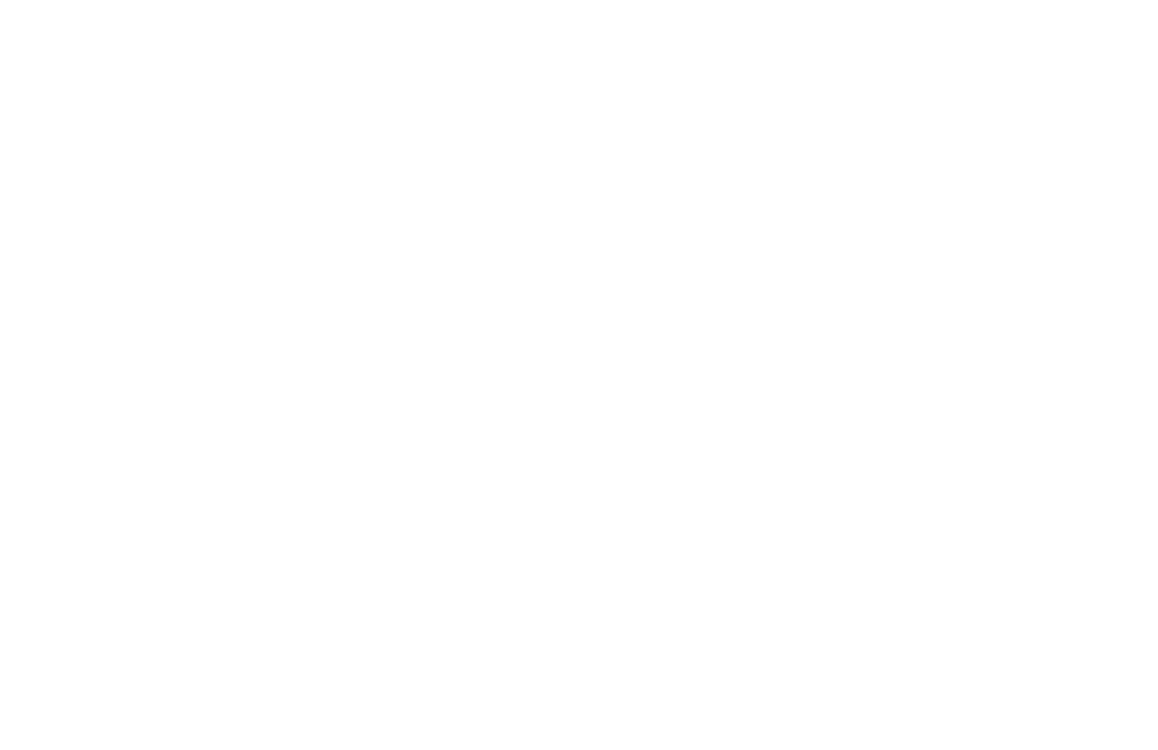 Welsh Dragon PNG White